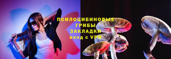 apvp Армянск