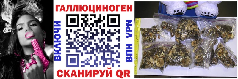 купить цена Новоуральск Псилоцибиновые грибы MAGIC MUSHROOMS